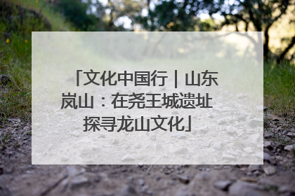 文化中国行｜山东岚山：在尧王城遗址探寻龙山文化