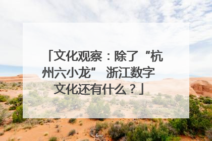 文化观察：除了“杭州六小龙” 浙江数字文化还有什么？