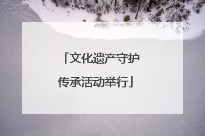 文化遗产守护传承活动举行