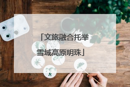 文旅融合托举雪域高原明珠