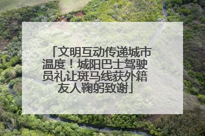 文明互动传递城市温度！城阳巴士驾驶员礼让斑马线获外籍友人鞠躬致谢
