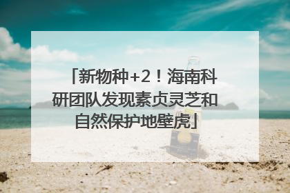 新物种+2！海南科研团队发现素贞灵芝和自然保护地壁虎