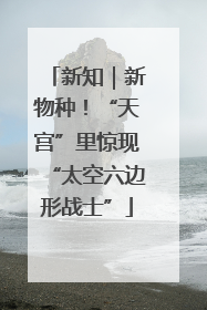 新知｜新物种！“天宫”里惊现“太空六边形战士”