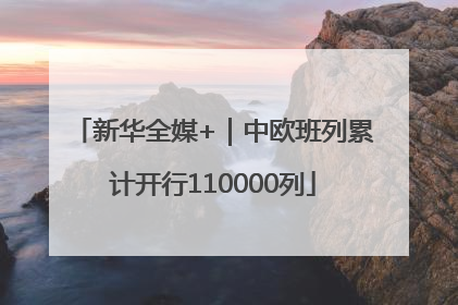 新华全媒+｜中欧班列累计开行110000列