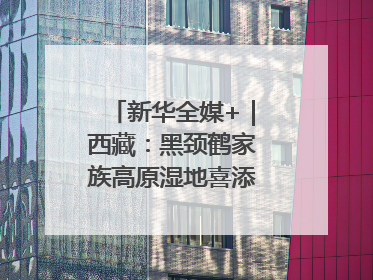 新华全媒+｜西藏：黑颈鹤家族高原湿地喜添“萌宝”