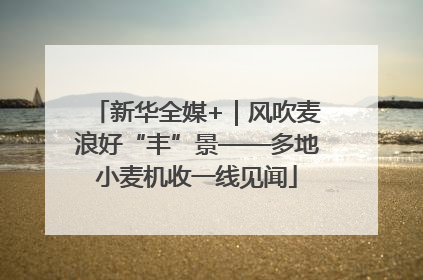新华全媒+｜风吹麦浪好“丰”景——多地小麦机收一线见闻