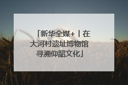 新华全媒+丨在大河村遗址博物馆寻溯仰韶文化