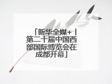 新华全媒+丨第二十届中国西部国际博览会在成都开幕