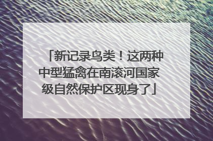新记录鸟类！这两种中型猛禽在南滚河国家级自然保护区现身了