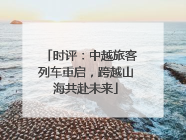 时评：中越旅客列车重启，跨越山海共赴未来
