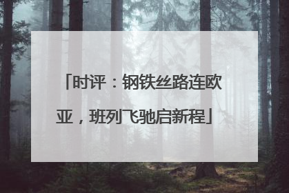 时评：钢铁丝路连欧亚，班列飞驰启新程