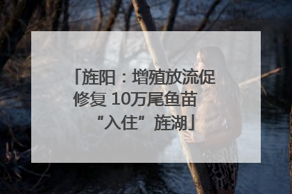 旌阳：增殖放流促修复 10万尾鱼苗“入住”旌湖