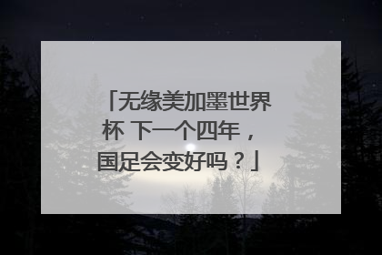 无缘美加墨世界杯 下一个四年，国足会变好吗？