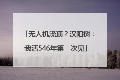 无人机浇顶？汉阳树：我活546年第一次见