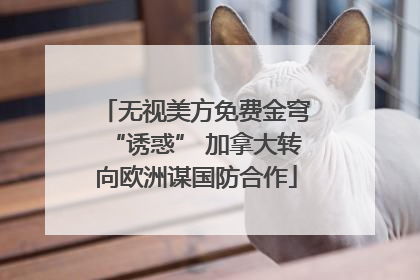 无视美方免费金穹“诱惑” 加拿大转向欧洲谋国防合作