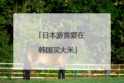 日本游客爱在韩国买大米