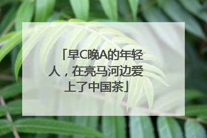 早C晚A的年轻人，在亮马河边爱上了中国茶
