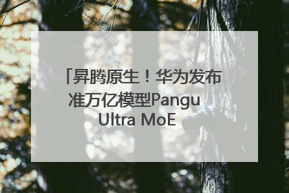 昇腾原生！华为发布准万亿模型Pangu Ultra MoE模型架构和训练细节