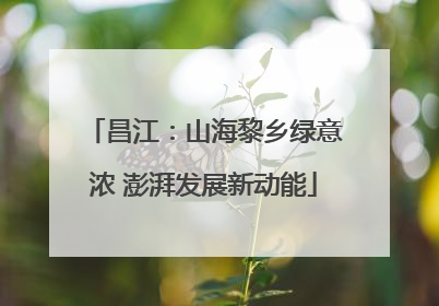 昌江：山海黎乡绿意浓 澎湃发展新动能