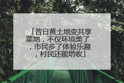 昔日黄土地变共享菜地，不仅环境美了，市民多了体验乐趣，村民还能增收