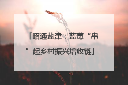 昭通盐津：蓝莓“串”起乡村振兴增收链