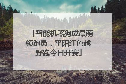 智能机器狗成最萌领跑员，平阳红色越野跑今日开赛