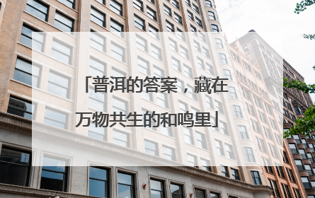 普洱的答案，藏在万物共生的和鸣里