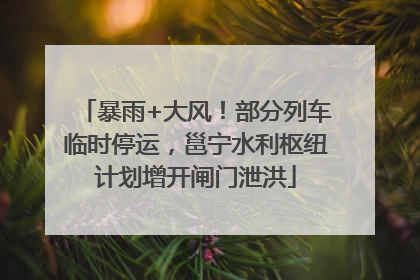 暴雨+大风！部分列车临时停运，邕宁水利枢纽计划增开闸门泄洪