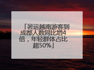 暑运越南游客到成都人数同比增4倍，年轻群体占比超50%