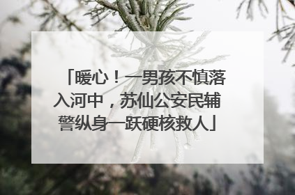 暖心！一男孩不慎落入河中，苏仙公安民辅警纵身一跃硬核救人