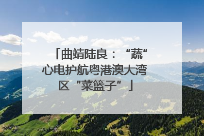 曲靖陆良：“蔬”心电护航粤港澳大湾区“菜篮子”