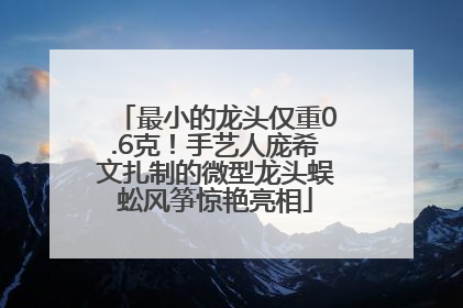 最小的龙头仅重0.6克！手艺人庞希文扎制的微型龙头蜈蚣风筝惊艳亮相