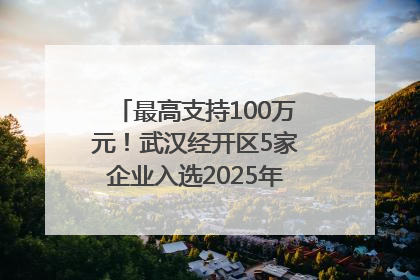 最高支持100万元！武汉经开区5家企业入选2025年度武汉市重点研发计划拟立项项目名单