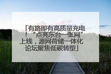 有路即有高质量充电！“点亮东台一张网”上线，源网荷储一体化论坛聚焦低碳转型
