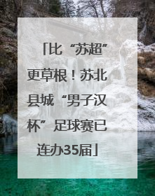比“苏超”更草根！苏北县城“男子汉杯”足球赛已连办35届