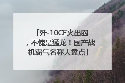 歼-10CE火出圈，不愧是猛龙！国产战机霸气名称大盘点