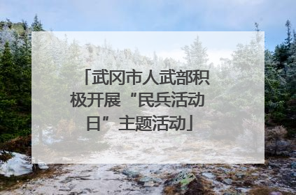 武冈市人武部积极开展“民兵活动日”主题活动