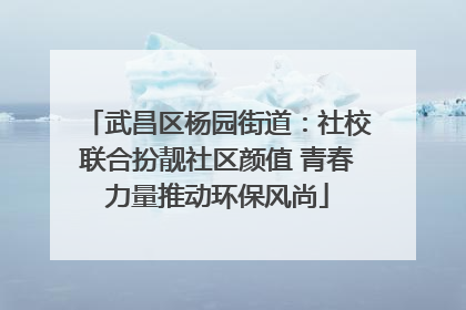 武昌区杨园街道：社校联合扮靓社区颜值 青春力量推动环保风尚