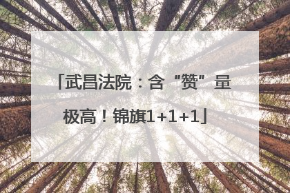 武昌法院：含“赞”量极高！锦旗1+1+1