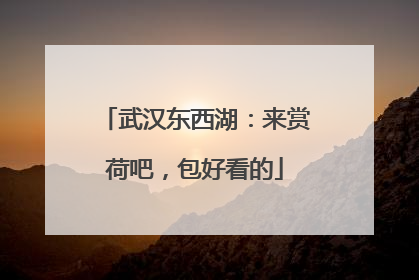 武汉东西湖：来赏荷吧，包好看的