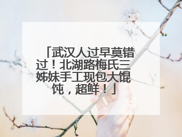 武汉人过早莫错过！北湖路梅氏三姊妹手工现包大馄饨，超鲜！
