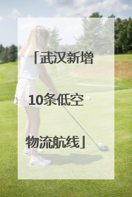 武汉新增10条低空物流航线