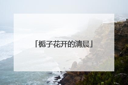栀子花开的清晨