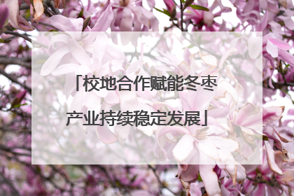 校地合作赋能冬枣产业持续稳定发展