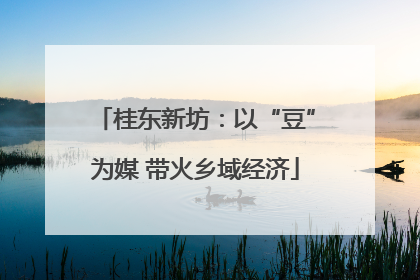 桂东新坊：以“豆”为媒 带火乡域经济