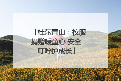 桂东青山：校服捐赠暖童心 安全叮咛护成长