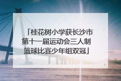 桂花树小学获长沙市第十一届运动会三人制篮球比赛少年组双冠