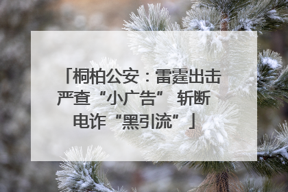 桐柏公安：雷霆出击严查“小广告” 斩断电诈“黑引流”