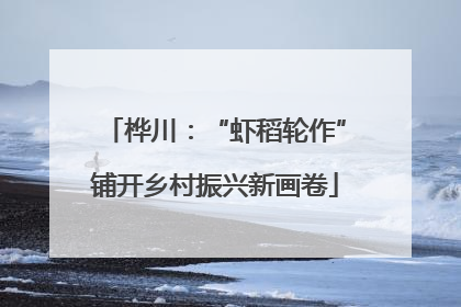 桦川：“虾稻轮作”铺开乡村振兴新画卷