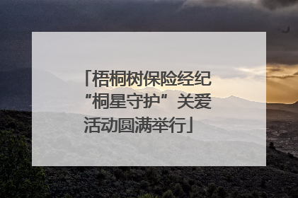 梧桐树保险经纪“桐星守护”关爱活动圆满举行